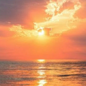 Meet your Posher, 3bee3